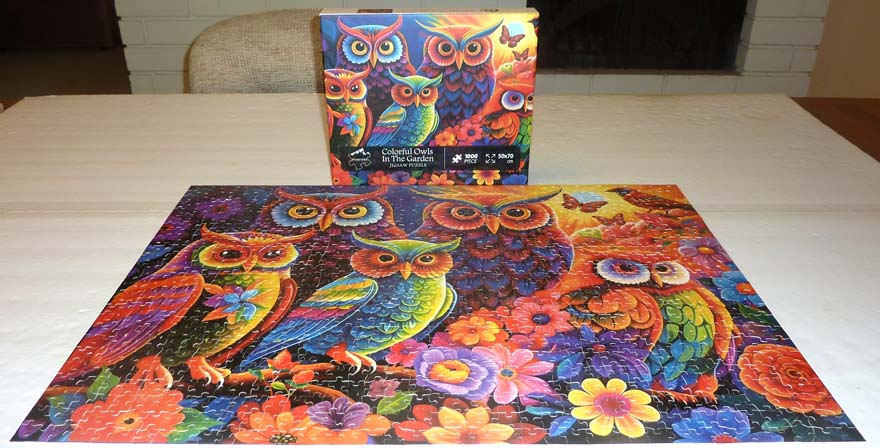 Colorful Owls in The Garden