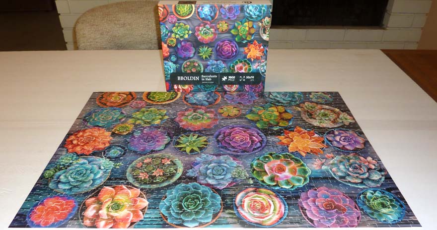 Succulents in Slab