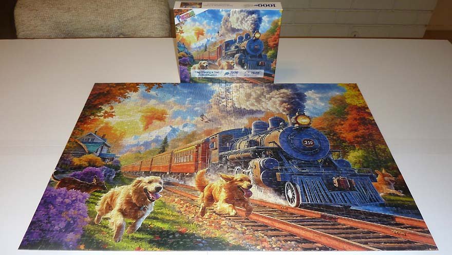 Dog Chasing a Train