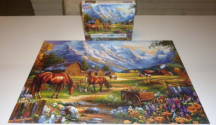 Mountain View Horses